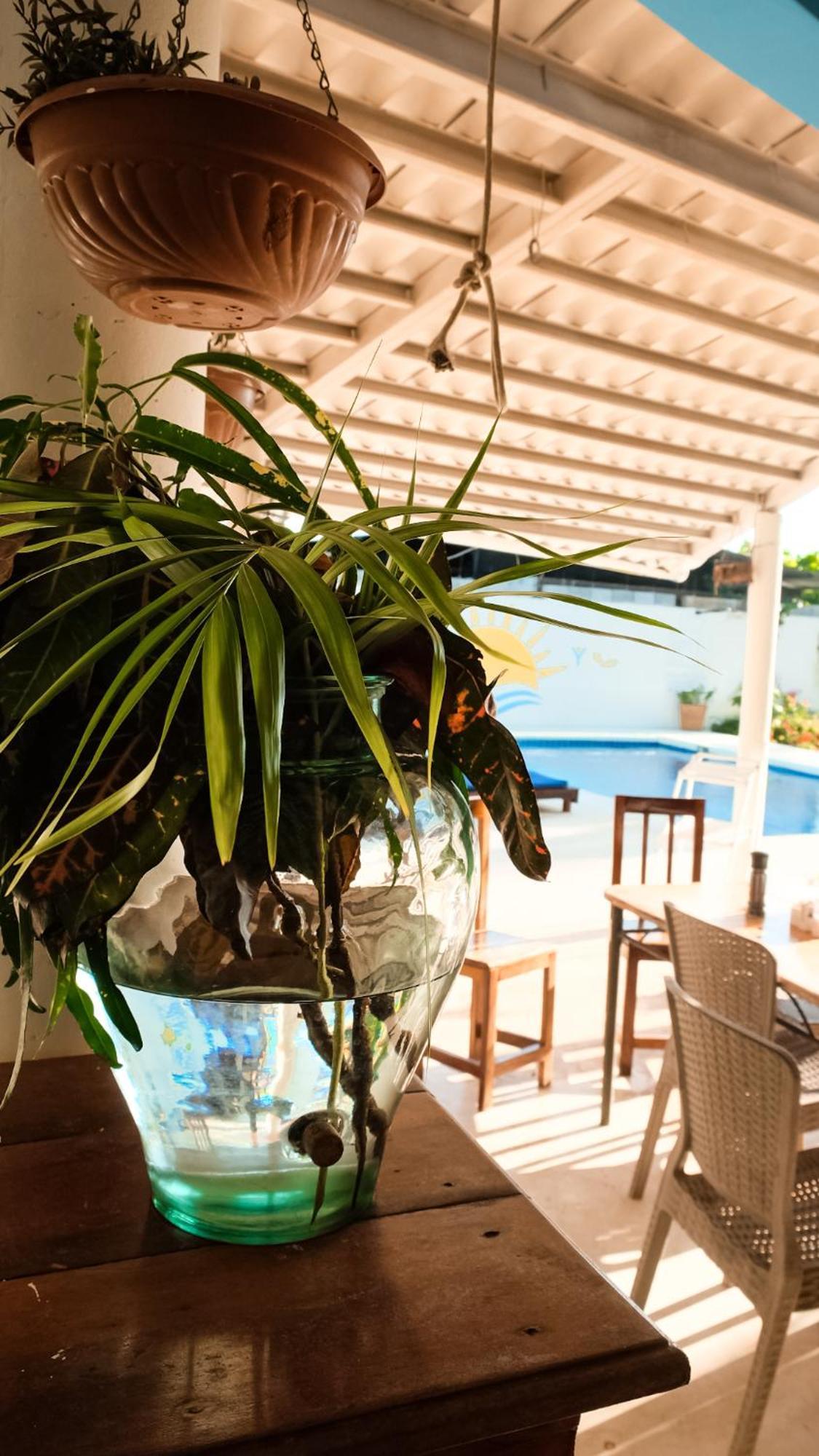 Hotel Sol Y Mar Santa Catalina Ngoại thất bức ảnh